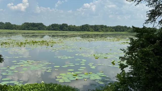 Arkansas Post National Memorial