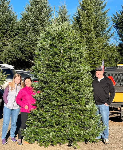 Mitchell Christmas Tree Farm