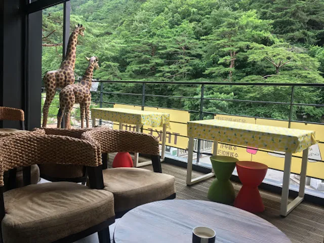 설악 오색 카페