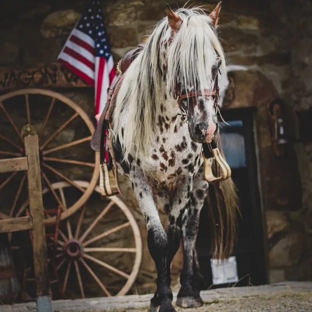 Ranch du Haut-Languedoc