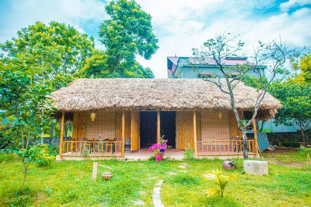 Ninh Binh Bungalow Homestay