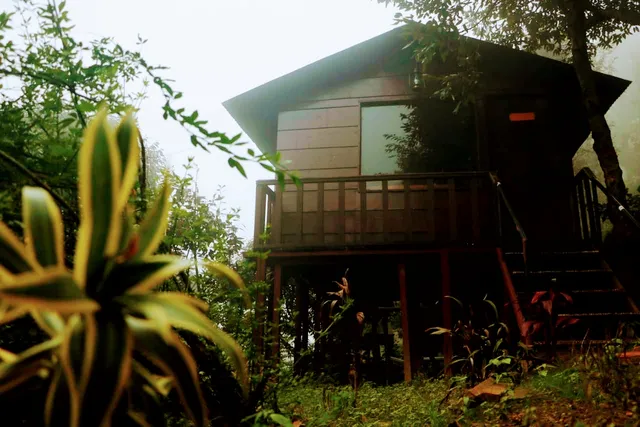 Kaafal Cottage, Ranikhet