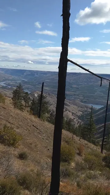 Icicle Outfitters & Guides Inc