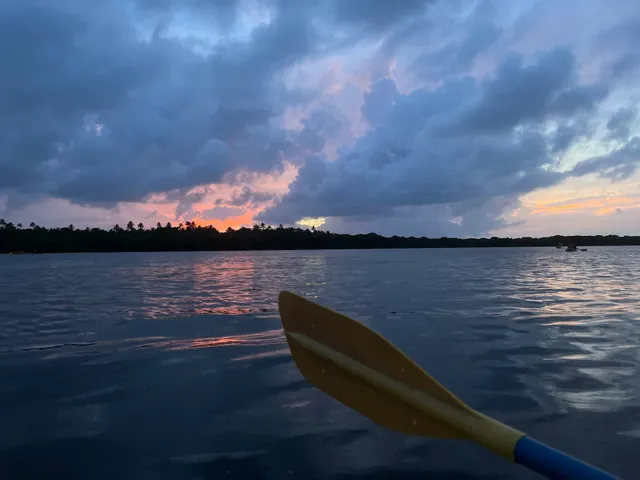 Puerto Rico Access Eco Tours