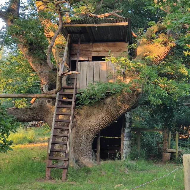 Willis’s Batch Caravan and Motorhome Club Site