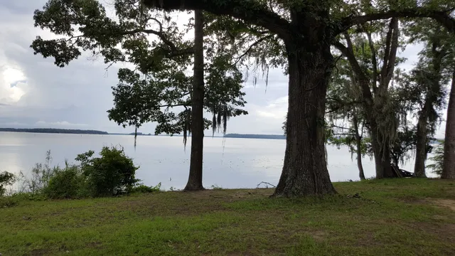 Seminole Lodge & Marina