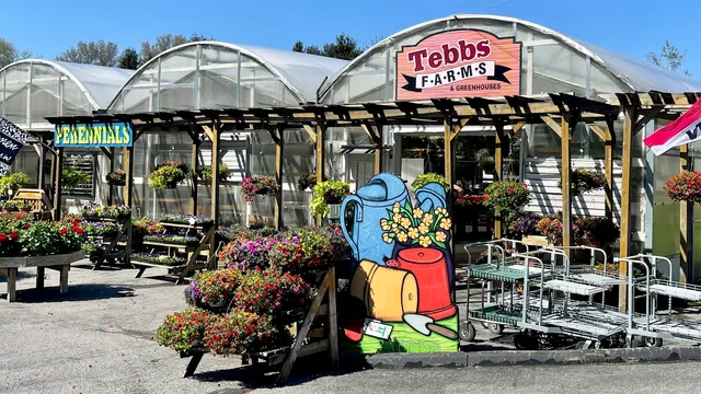 Tebbs Farms & Greenhouses