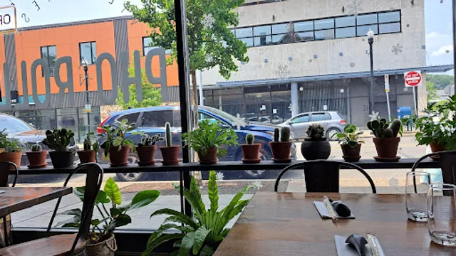 Pho and Roll Vietnamese Kitchen