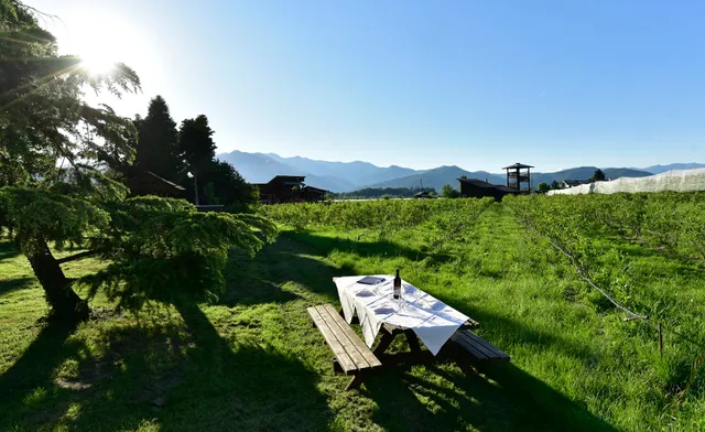 Il Frutto Permesso Soc. Agr. Coop, Agriturismo, Macelleria, Vendita diretta