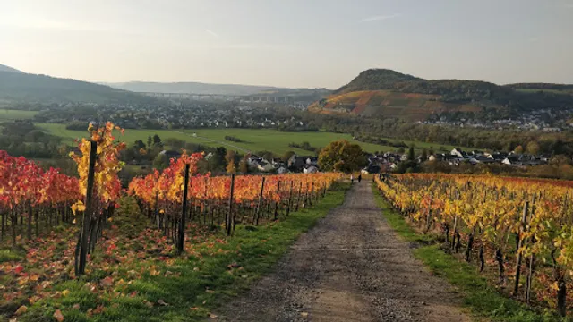 Winzerhäuschen Ahrtal Romantik