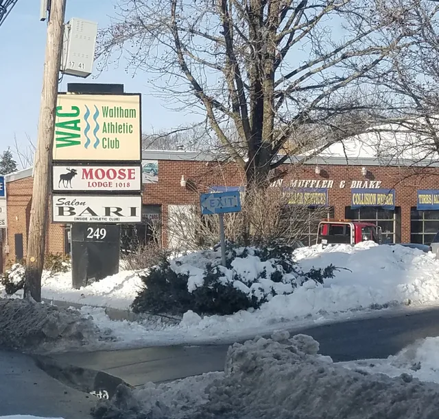 The Moose - Waltham Lodge 1018