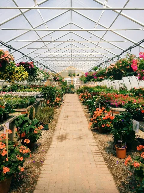 Madison Flower Shop & Garden Center