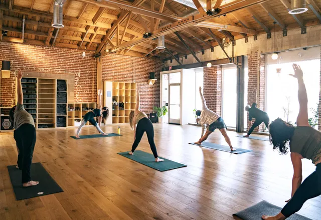 One Down Dog | Yoga + Fitness Studio