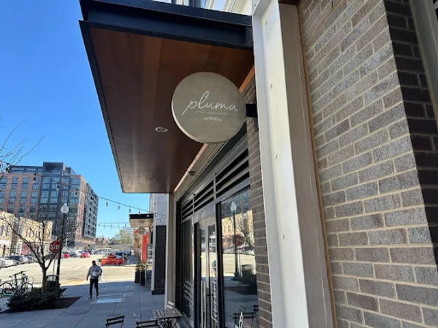 Pluma by Bluebird Bakery