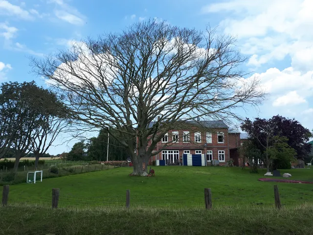 Ferienhof Witt - Paul-Hinnerk Witt