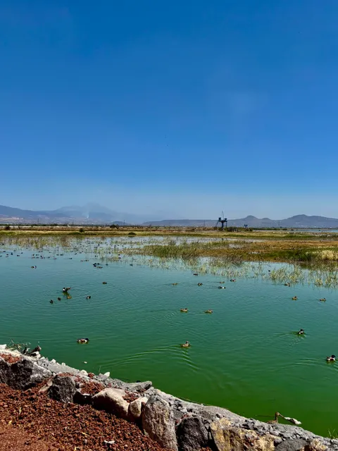 Lake Texcoco