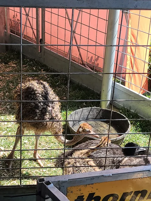 Steele County Fairgrounds Campground