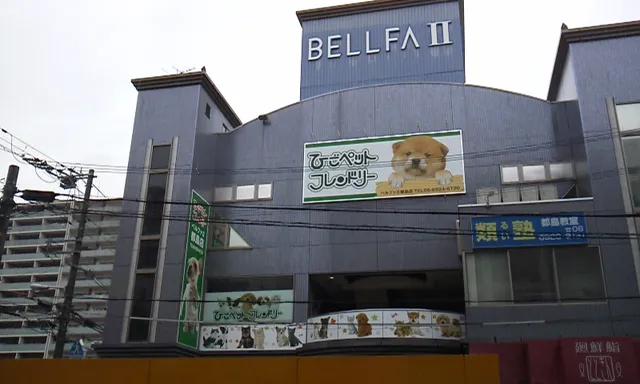 HIGOPET FRIENDLY Bellfa 2 Miyakojima Store