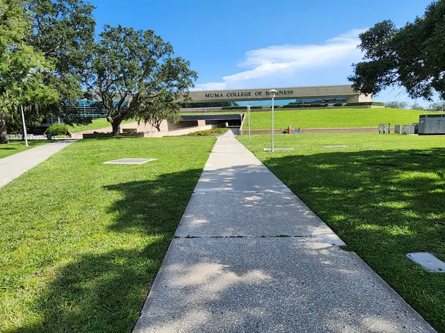 Muma College of Business