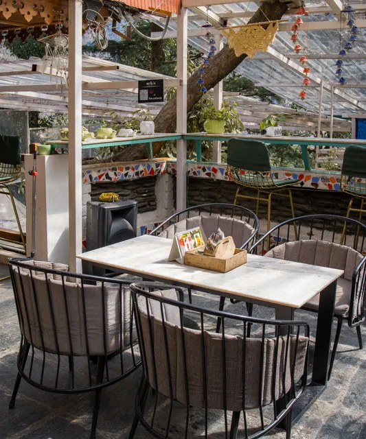 The Netwok, Mcleodganj