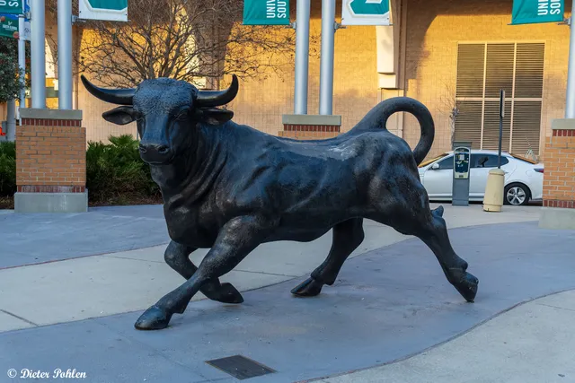 University of South Florida Park on the Riverwalk