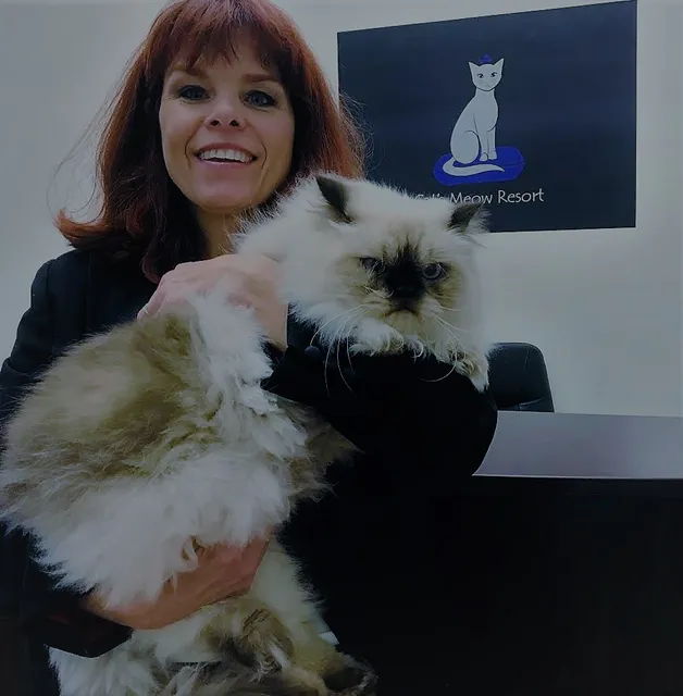 Cat's Meow Resort