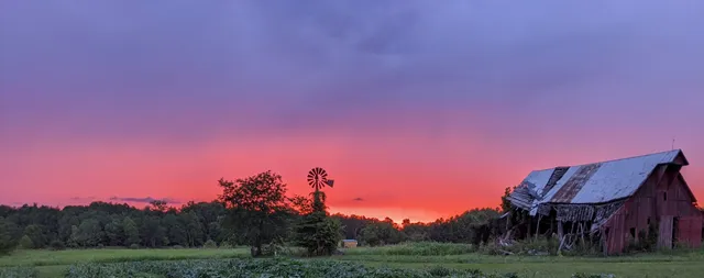 Treehugger Maple Syrup