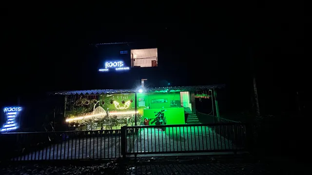 Roots by Mount Olive