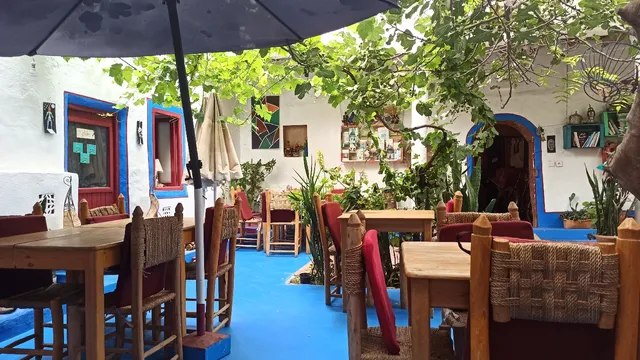 À l'Ombre du Figuier