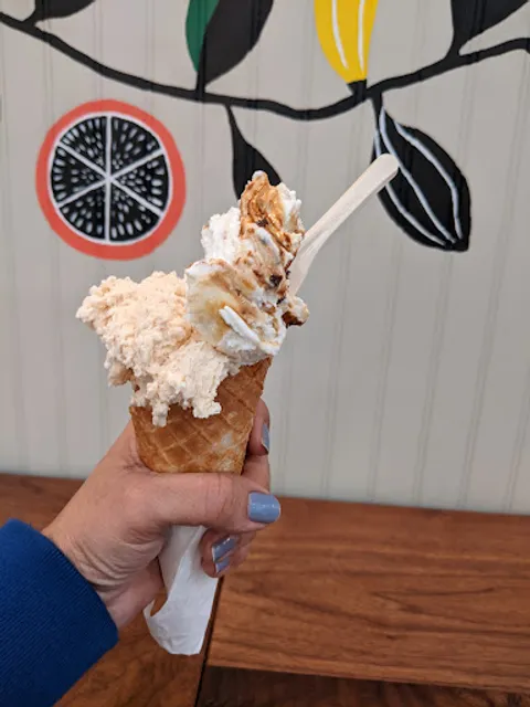 Botolino Gelato Artigianale