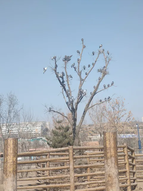 Taiyuan Zoo