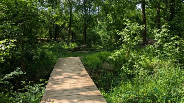 Lower Paul Park (Riverwalk Atlanta)