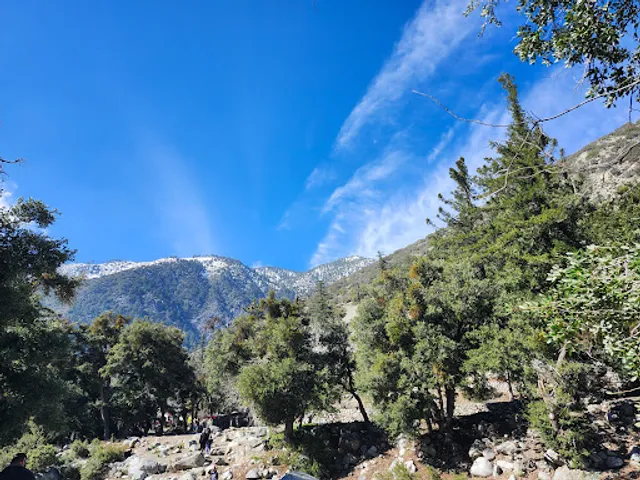 Mt Baldy Visitor Center