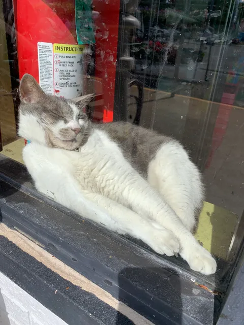 DuQuoin Ace Hardware