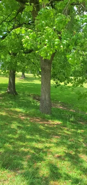 Jack Mattox Disc Golf Course