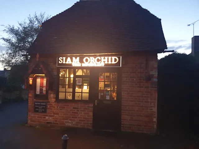 Siam Orchid