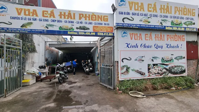 Vua Cá Hải Phòng