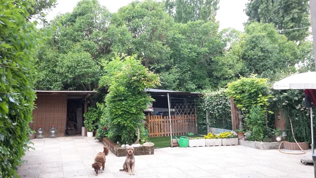 bed & breakfast Nenè