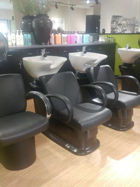 Studio 54 Hair Designs