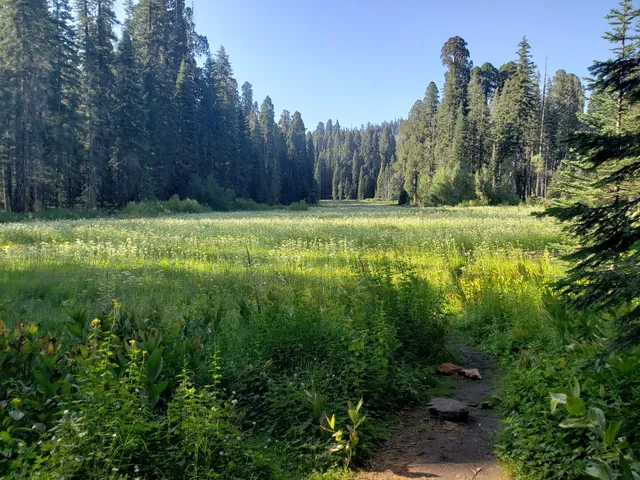 Crescent Meadow Picnic Area