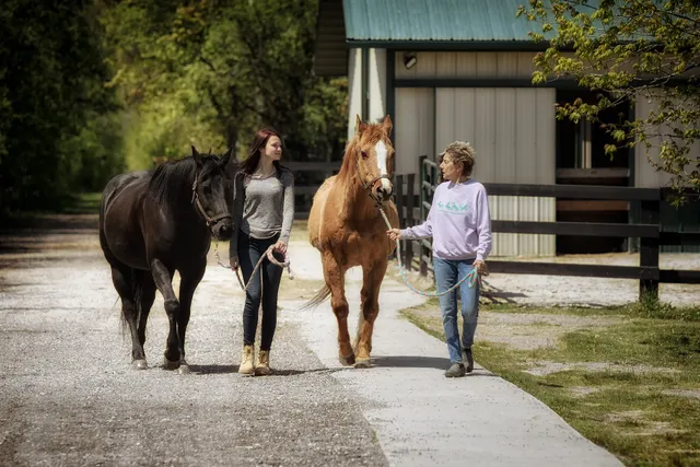 Equestrian Connection, NFP