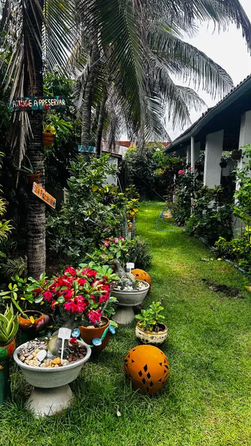 Bem-te-vi Casa de Praia