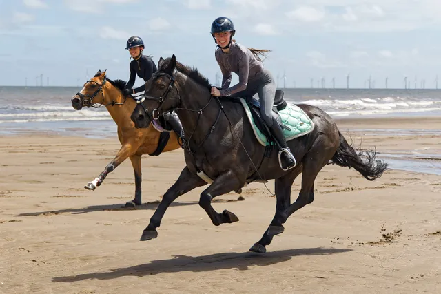 Field Farm Equestrian