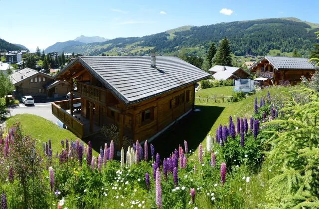 Chalet Novelin - Mountain & Tradition