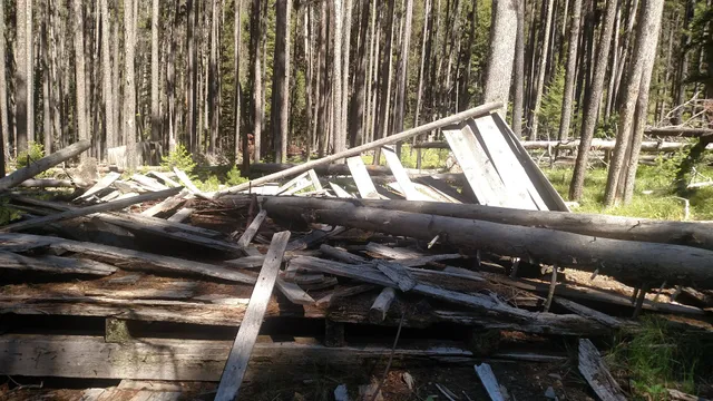 Beaverhead National Forest