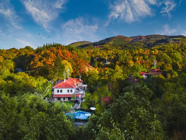 Forest Paradise Hanevtsi