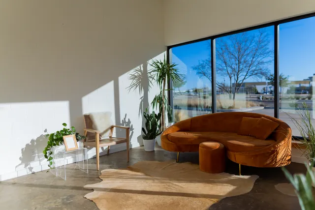 Sol and Sage Studios