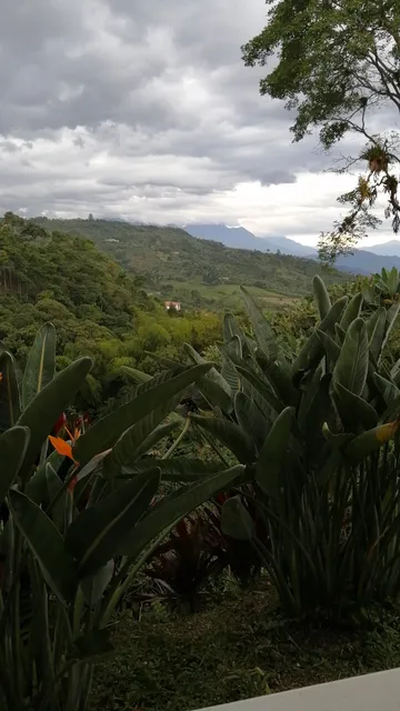 Finca la casiana