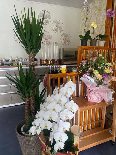 セルフハッピー 舒爽1988