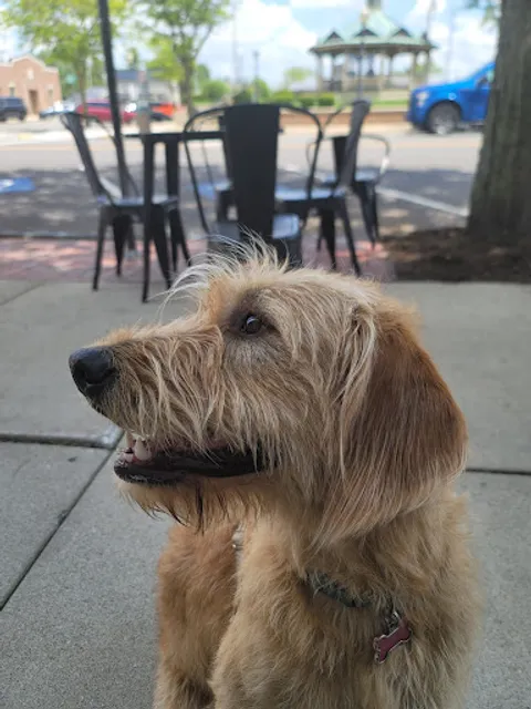 Capuana’s Delicatessen